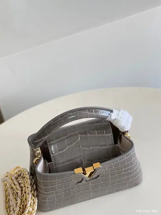 Fake Louis Bags LOUIS VUITTON MINI CAPUCINES 0517